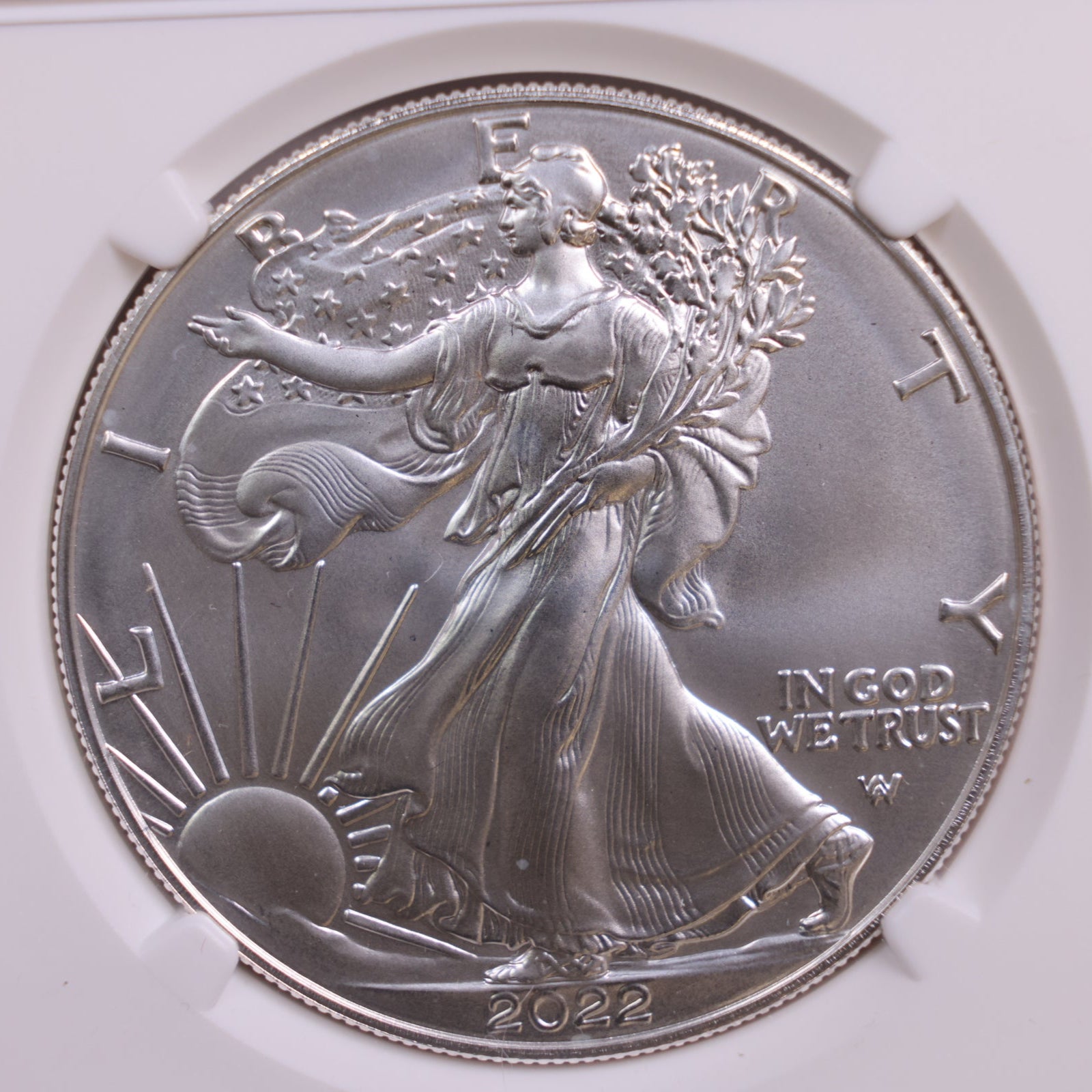 2022-W American Silver Eagle, Burnished Strike, NGC MS-70, Store #GSE030
