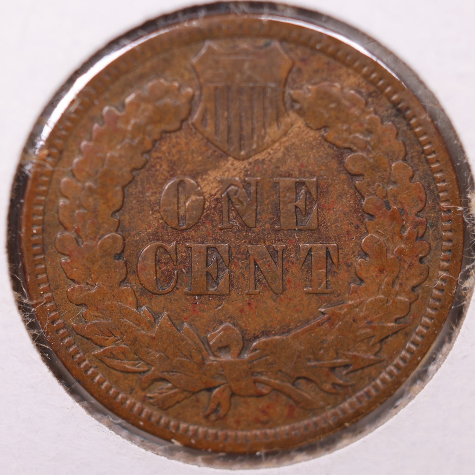 1908 Indian Head Cent, Fine Circulated, Affordable Coin, Store #CT1238