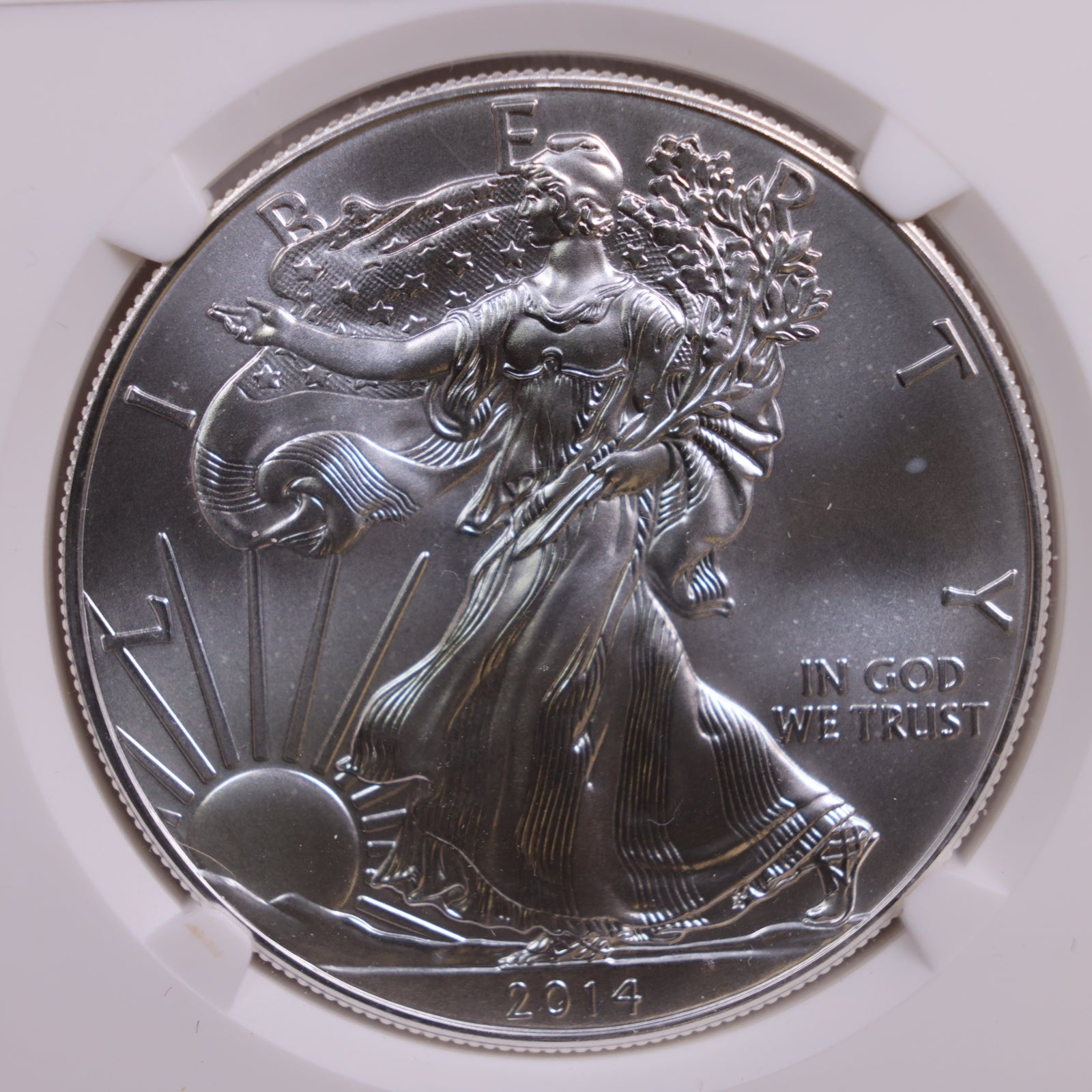 2014 American Silver Eagle., Business Strike., NGC MS-70, Store #GSE034