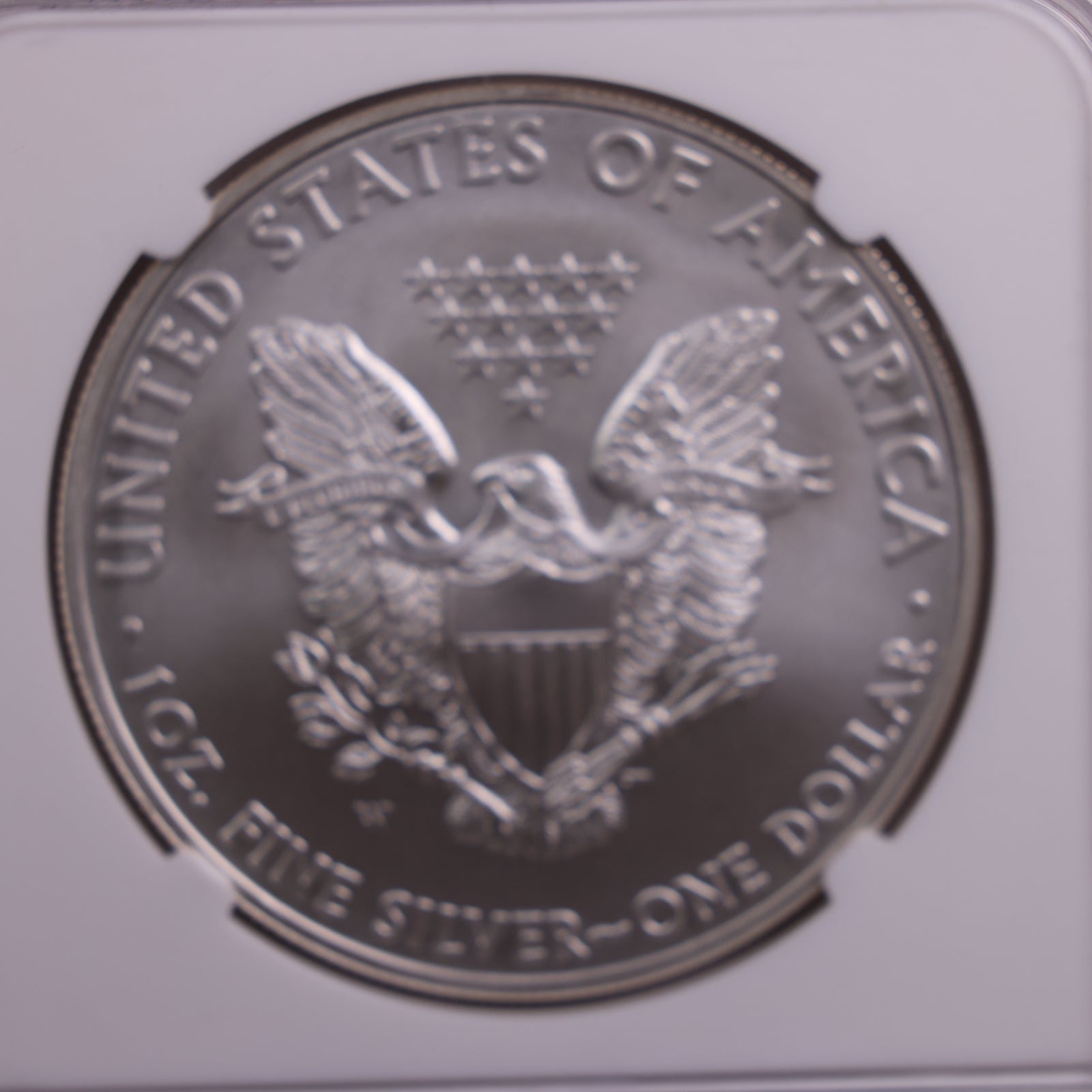 2008-W American Silver Eagle., Burnished Strike., NGC MS70., Store GSE041.