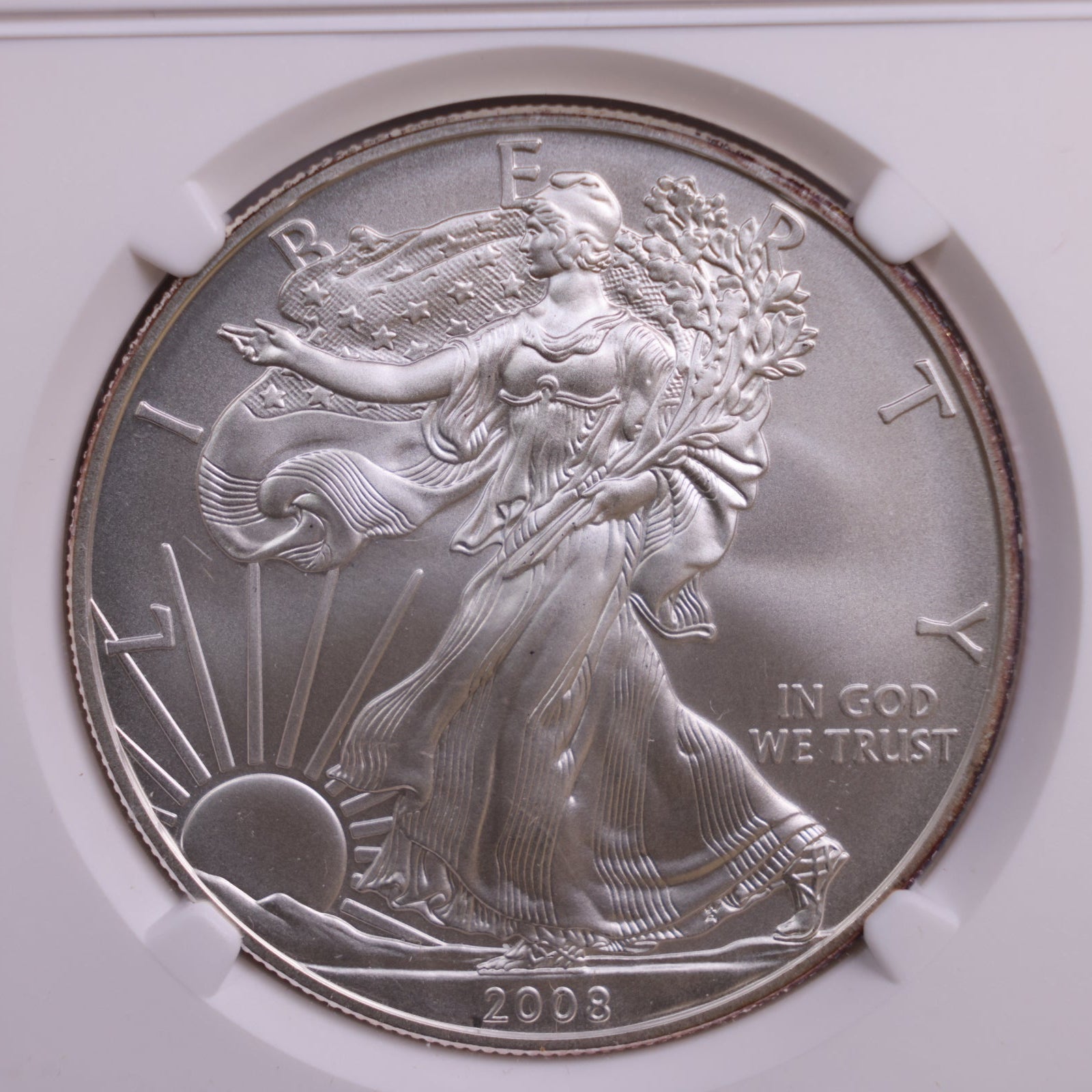 2008-W American Silver Eagle., Burnished, Rev 2007., NGC MS69., Store GSE042.