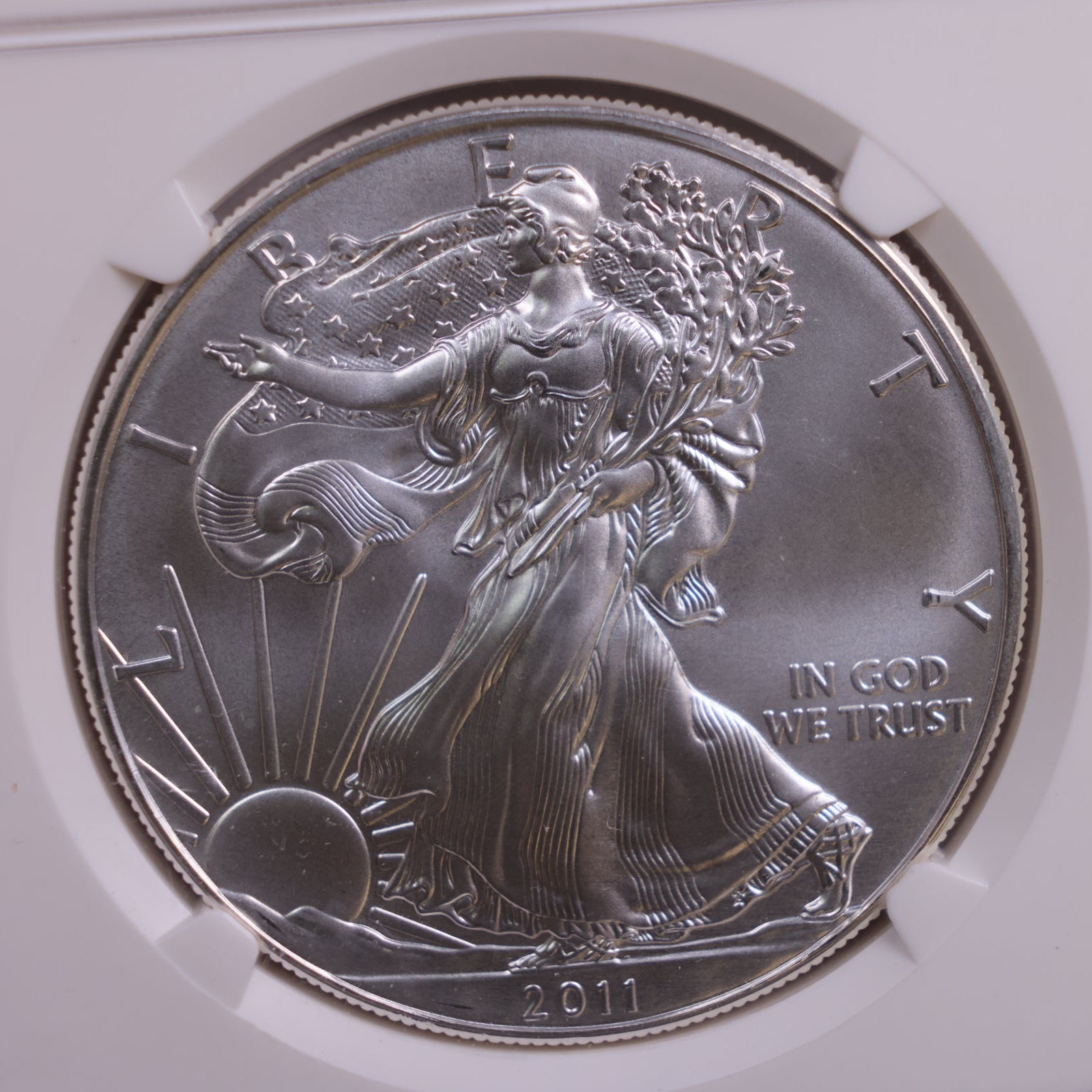 2011 American Silver Eagle, Business Strike, NGC MS69, Store #GSE045