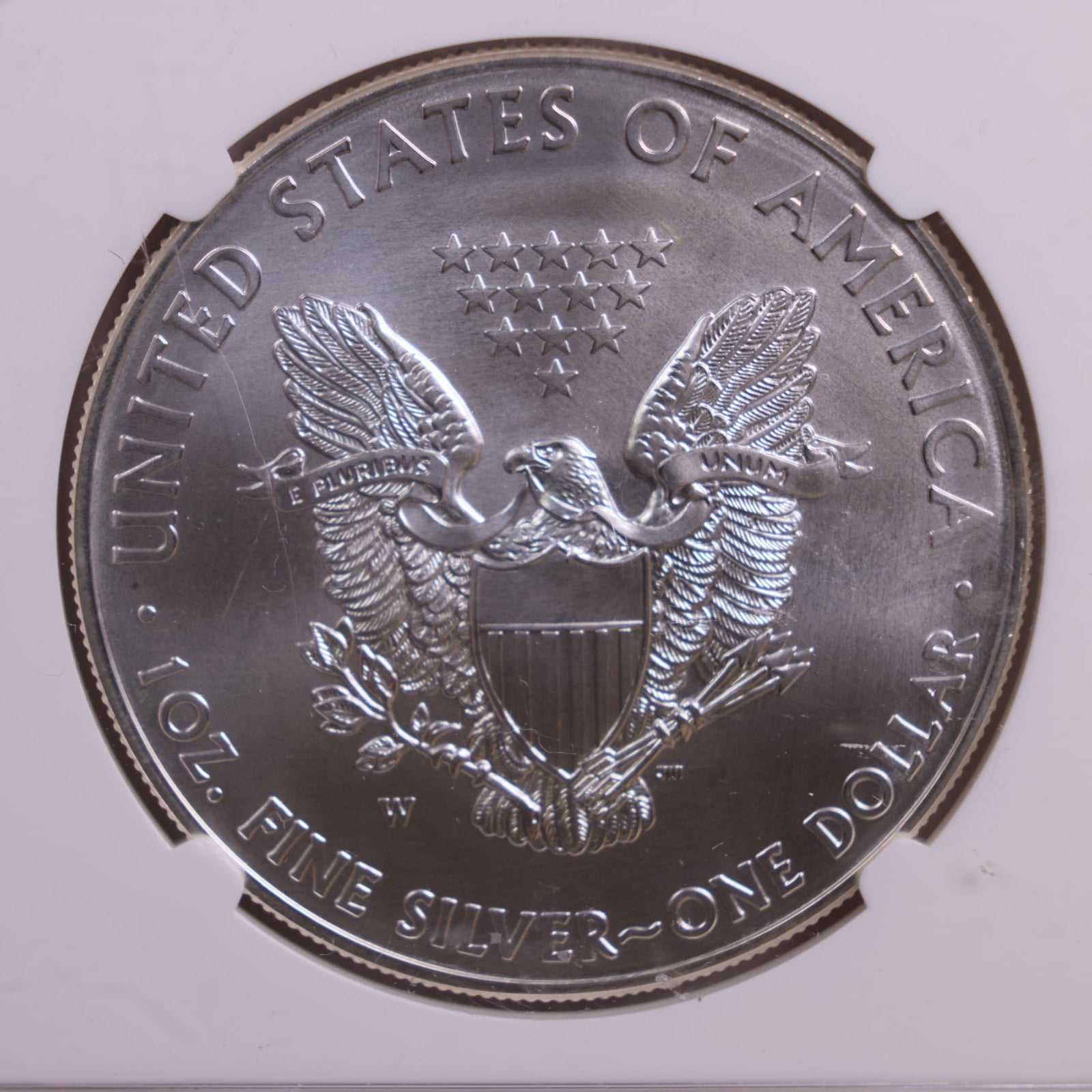 2013-W American Silver Eagle., Burnished Strike., NGC MS70, Store #GSE047