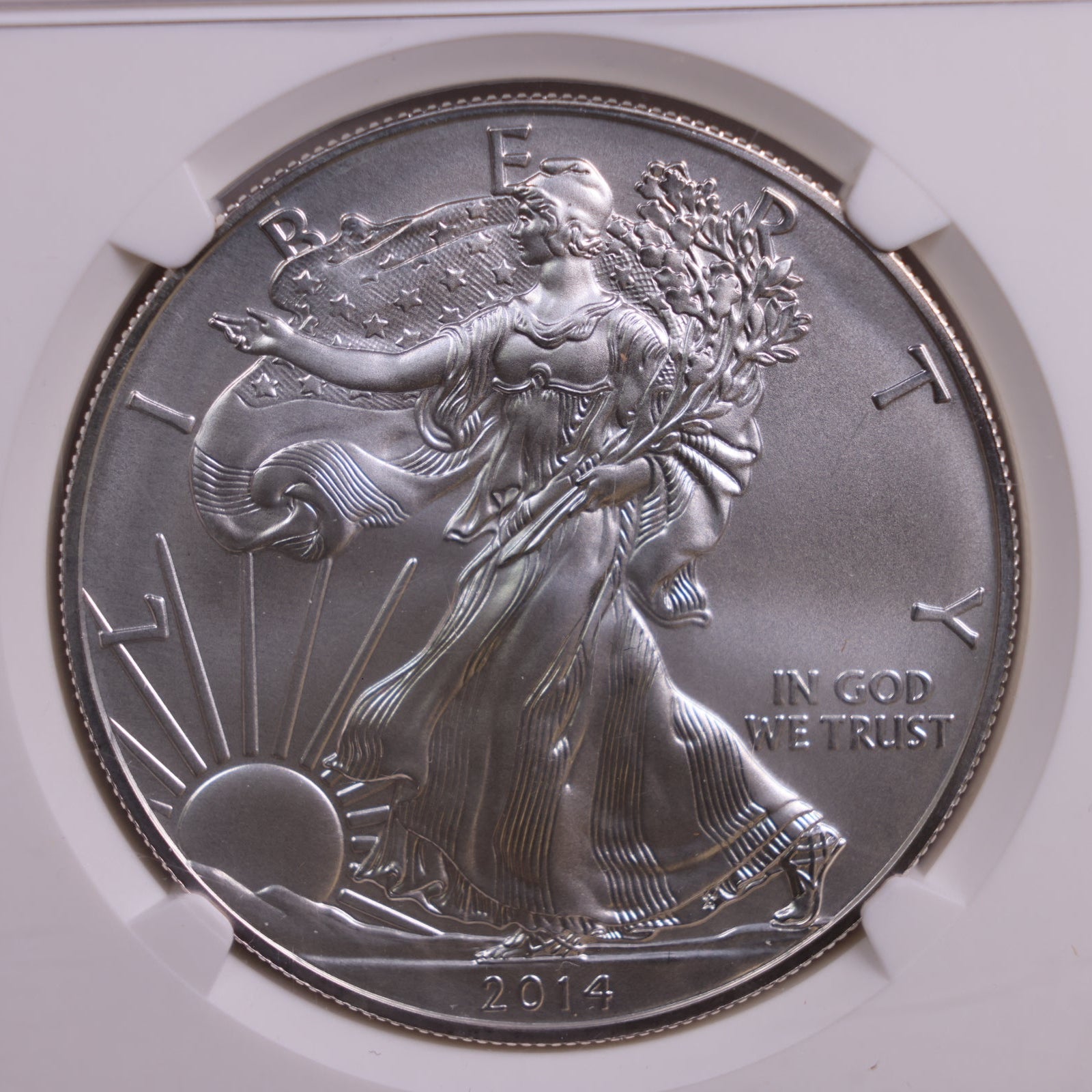 2014-W American Silver Eagle., Burnished Strike., PCGS MS70, Store #GSE051