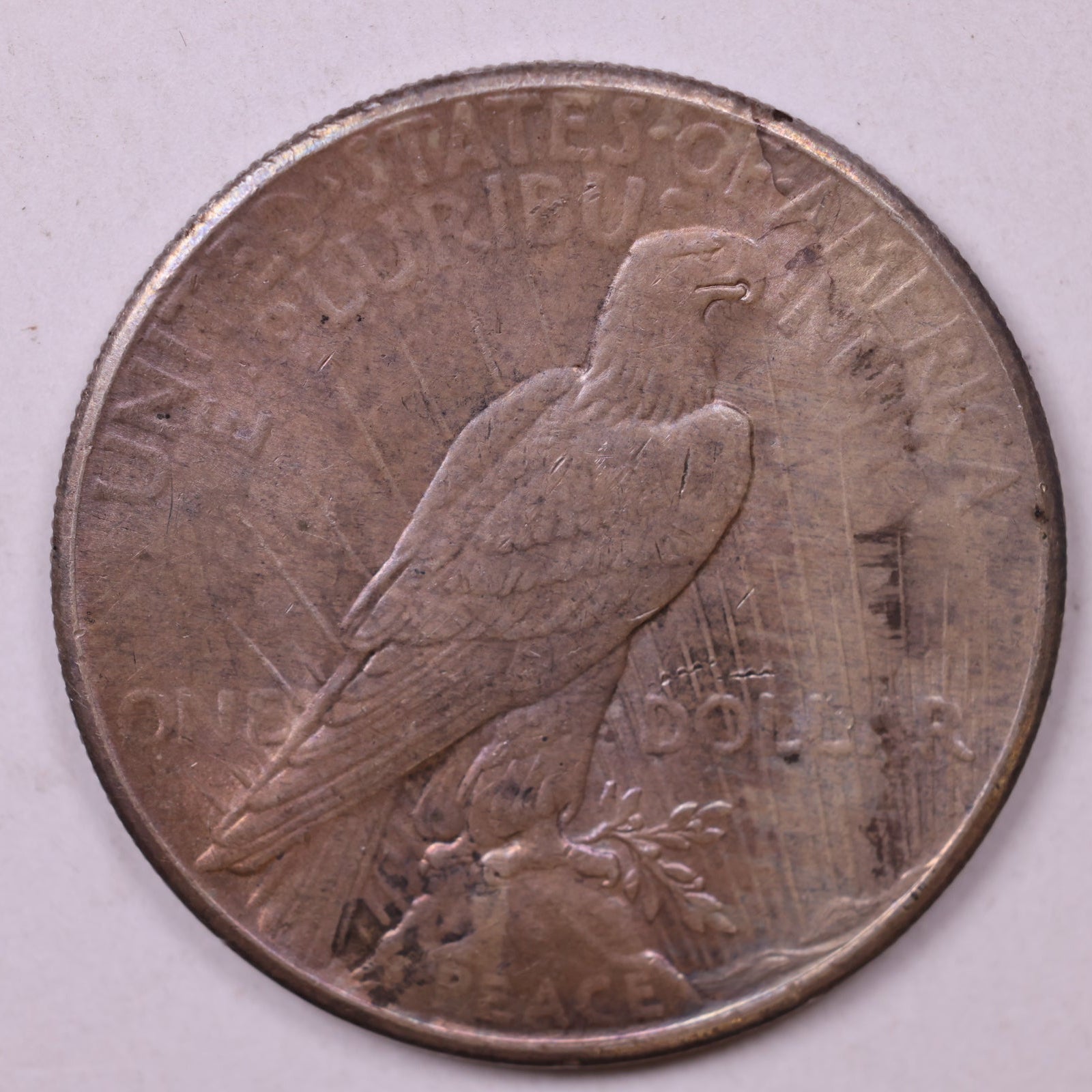 1926 Peace Dollar, Mint State Uncirculated Coin, Store #DR0993