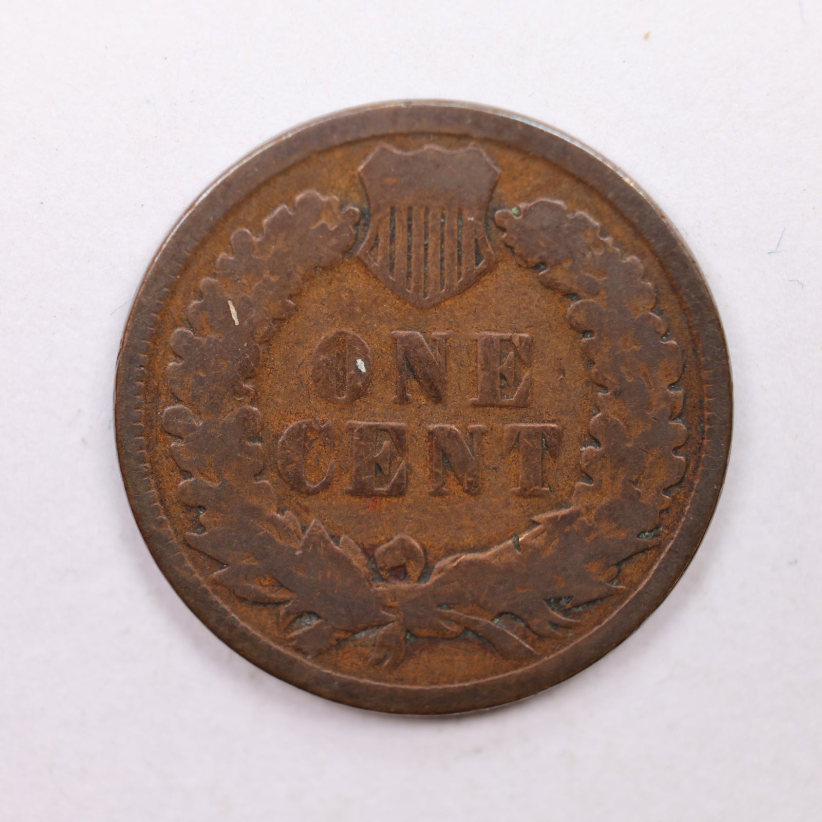 1886 Indian Head Cent, Var-2, Good Circulated, Affordable Coin, Store #CT1209.