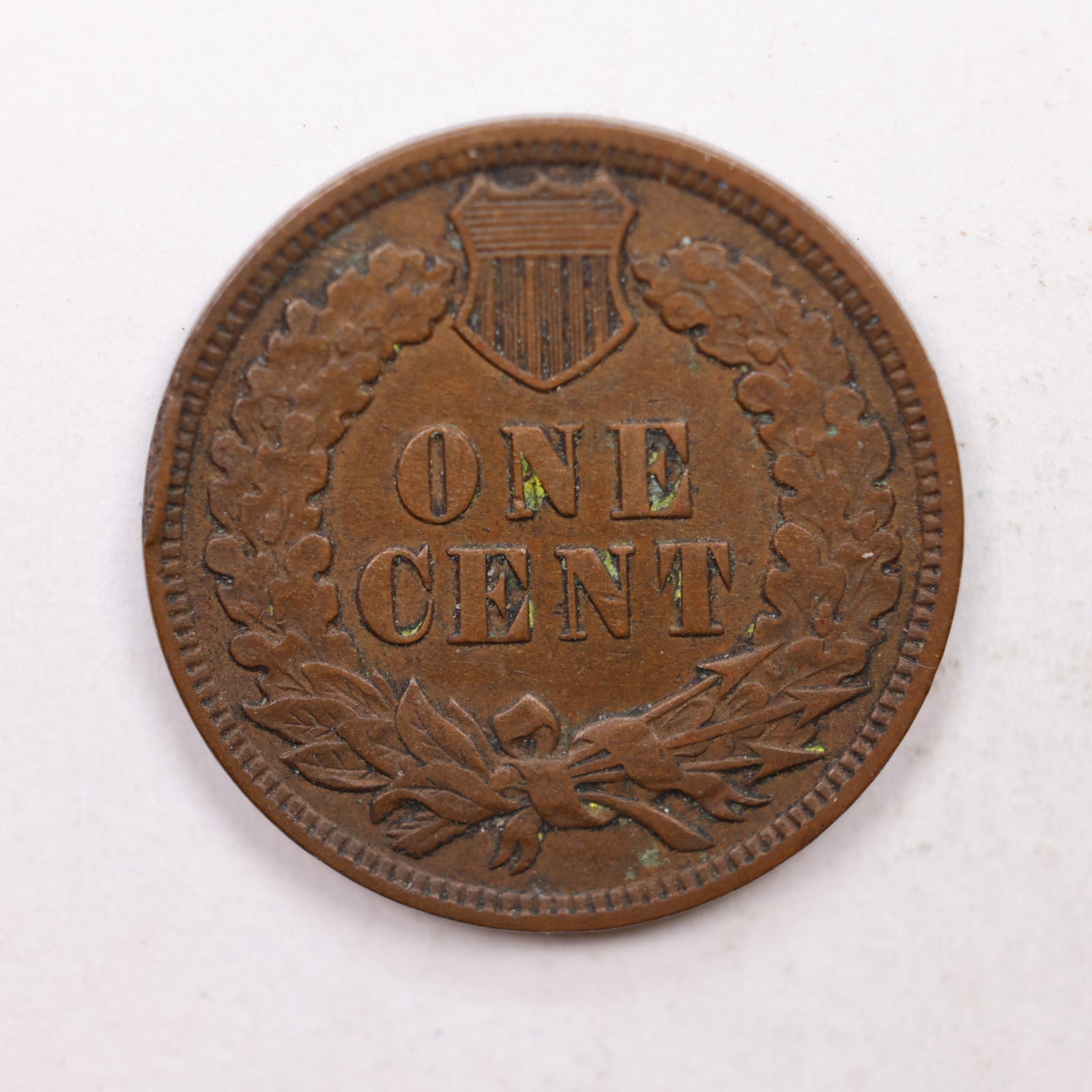 1909 Indian Head Cent, Extra Fine Circulated, Affordable Coin, Store #CT1219.