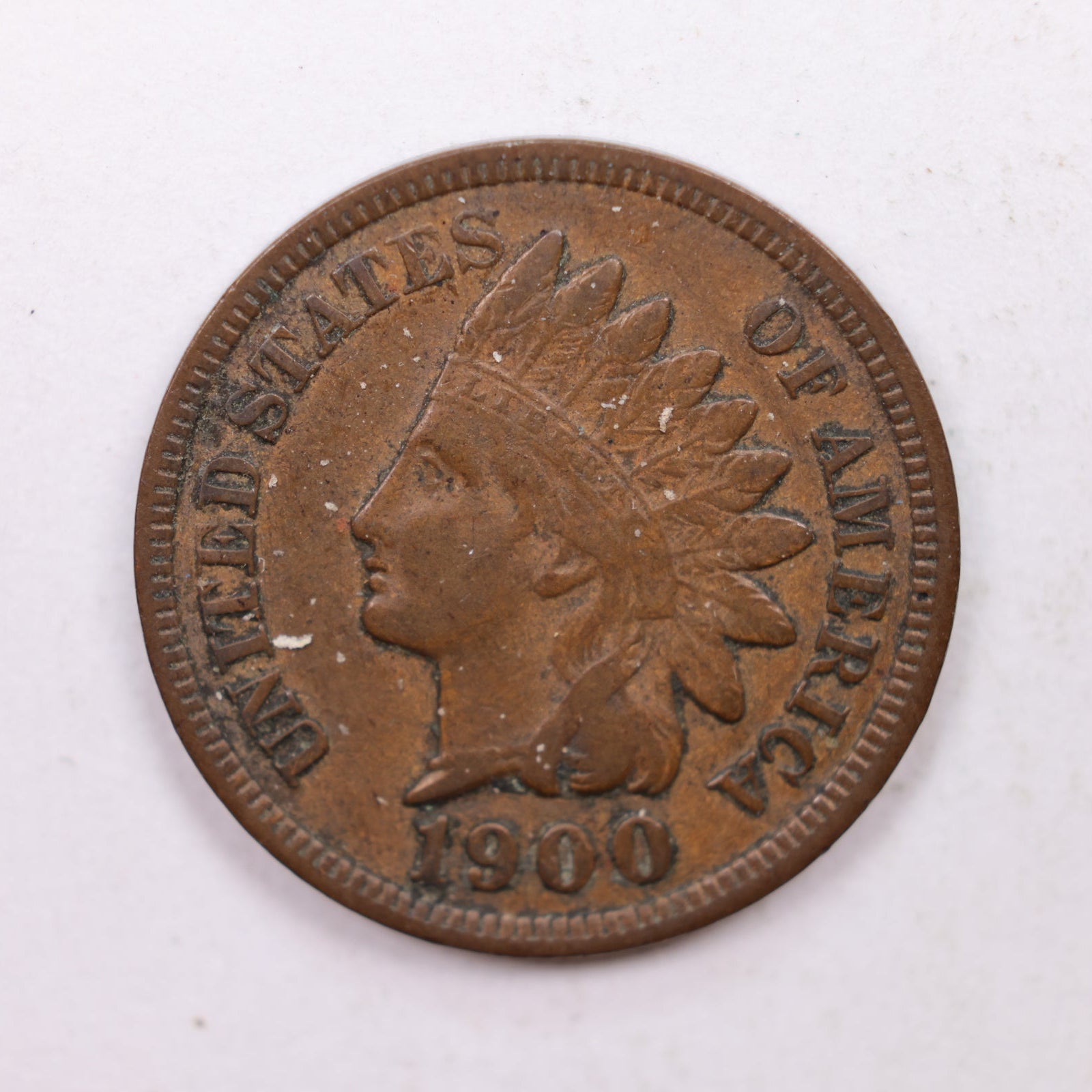1900  Indian Head Cent, Extra Fine Circulated, Affordable Coin, Store #CT1221.