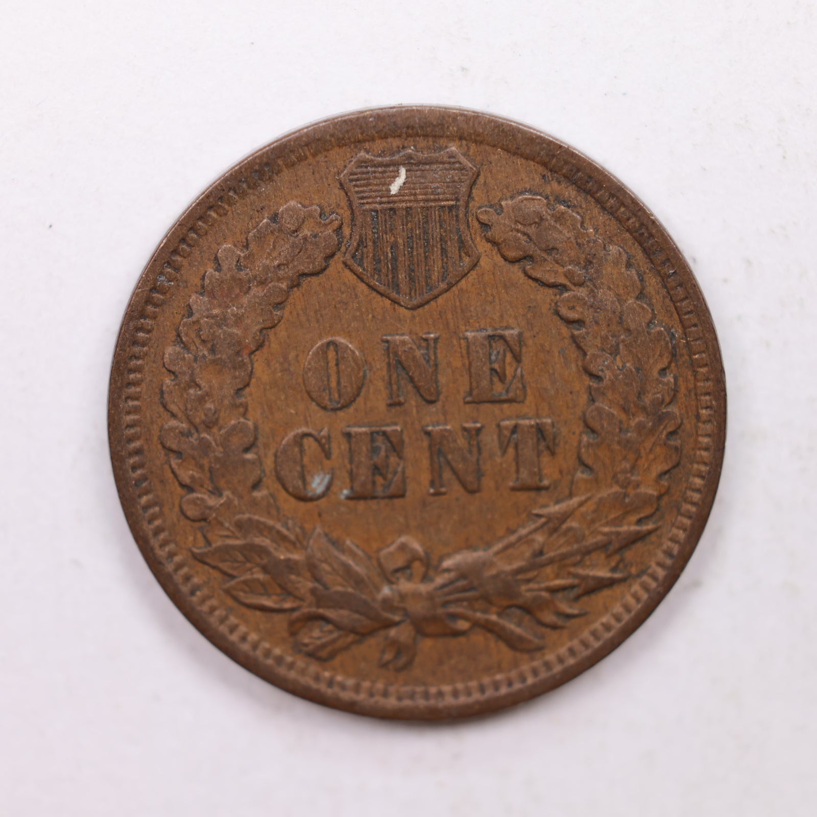 1906  Indian Head Cent, Extra Fine Circulated, Affordable Coin, Store #CT1222.