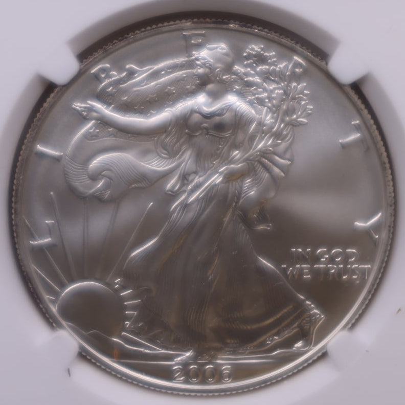 2006-W Burnished American Silver Eagle, NGC MS-70, Store#AE0416