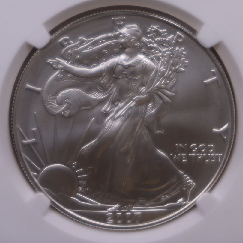 2007-W Burnished American Silver Eagle, NGC MS-70, Store#AE0417