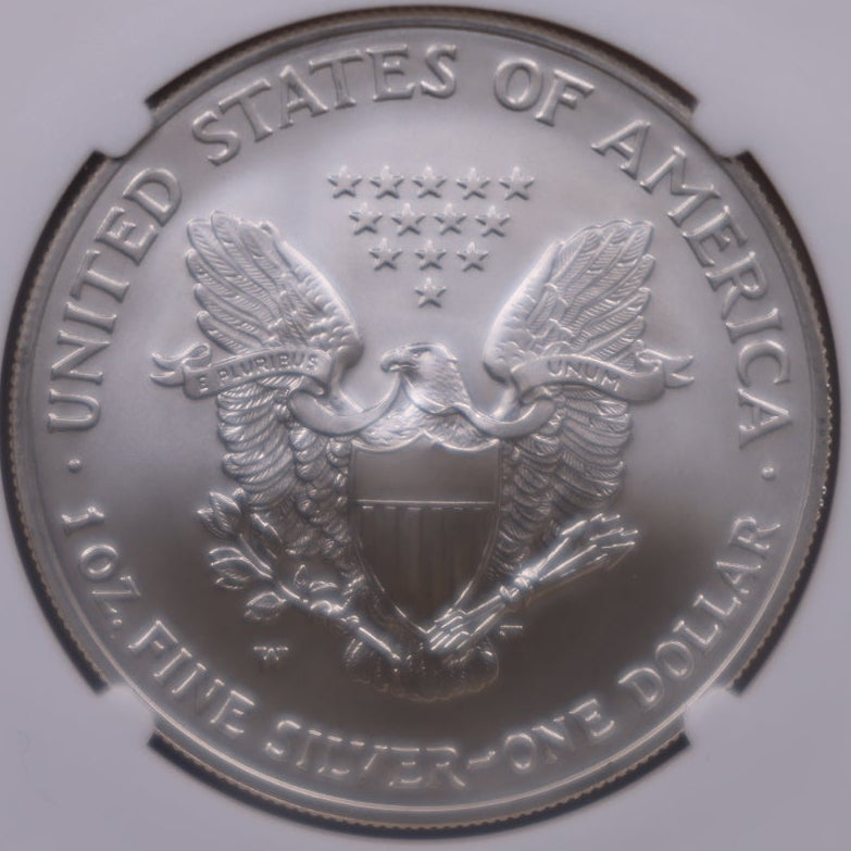2007-W Burnished American Silver Eagle, NGC MS-70, Store#AE0417