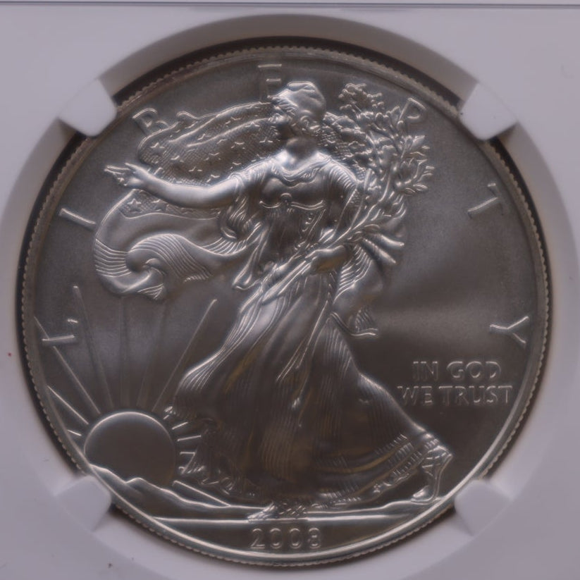 2008-W Burnished American Silver Eagle, NGC MS-70, Store#AE0418