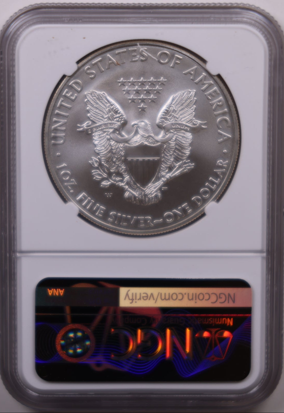 2008-W Burnished American Silver Eagle, NGC MS-70, Store#AE0418