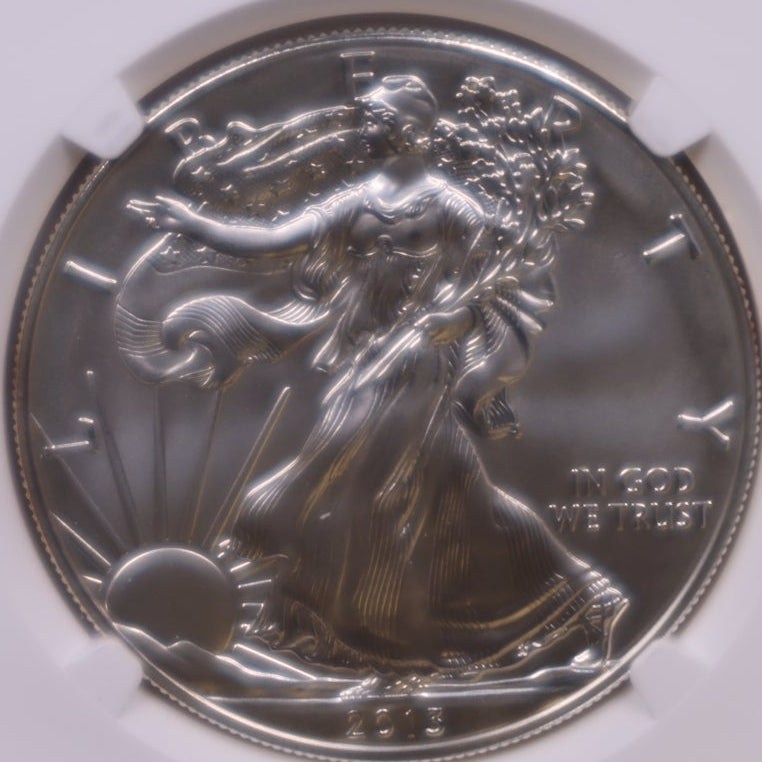 2013-W Burnished American Silver Eagle, NGC MS-70, Store#AE0420