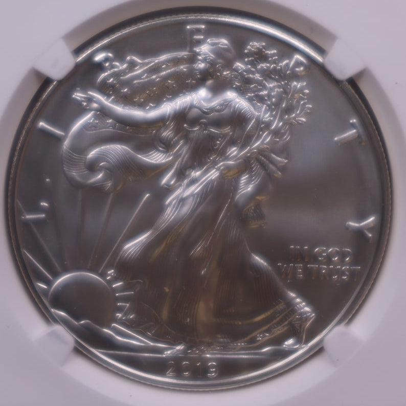 2019-W Burnished American Silver Eagle, NGC MS-70, Store#AE0423