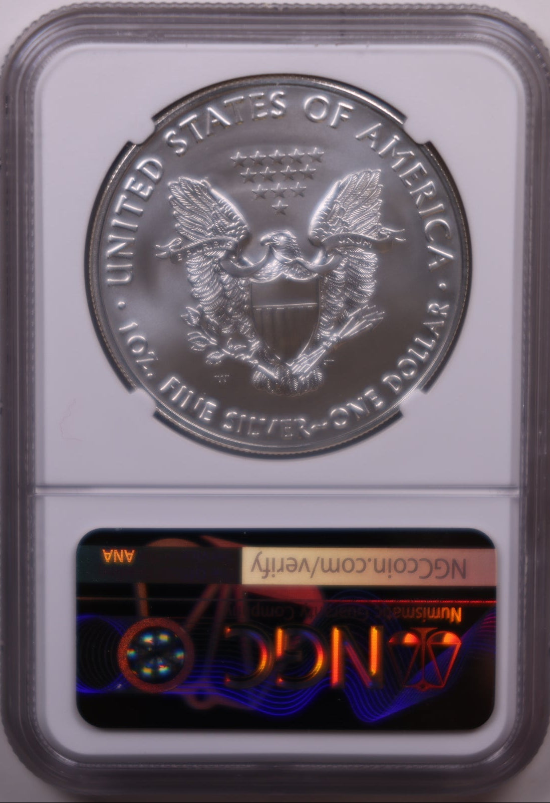2019-W Burnished American Silver Eagle, NGC MS-70, Store#AE0423