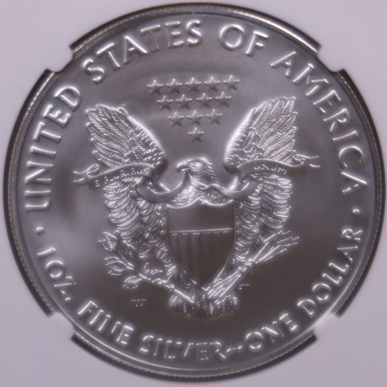 2019-W Burnished American Silver Eagle, NGC MS-70, Store#AE0423