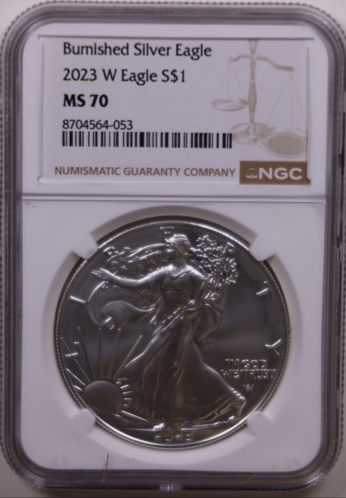 2023-W Burnished American Silver Eagle, NGC MS-70, Store#AE0426