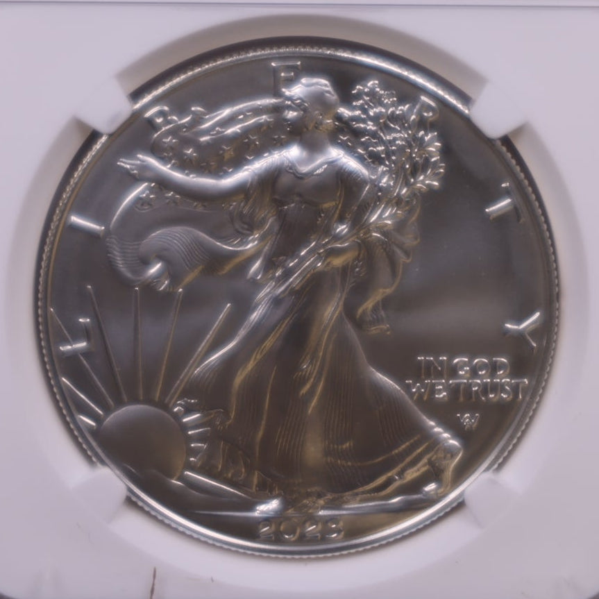 2023-W Burnished American Silver Eagle, NGC MS-70, Store#AE0426