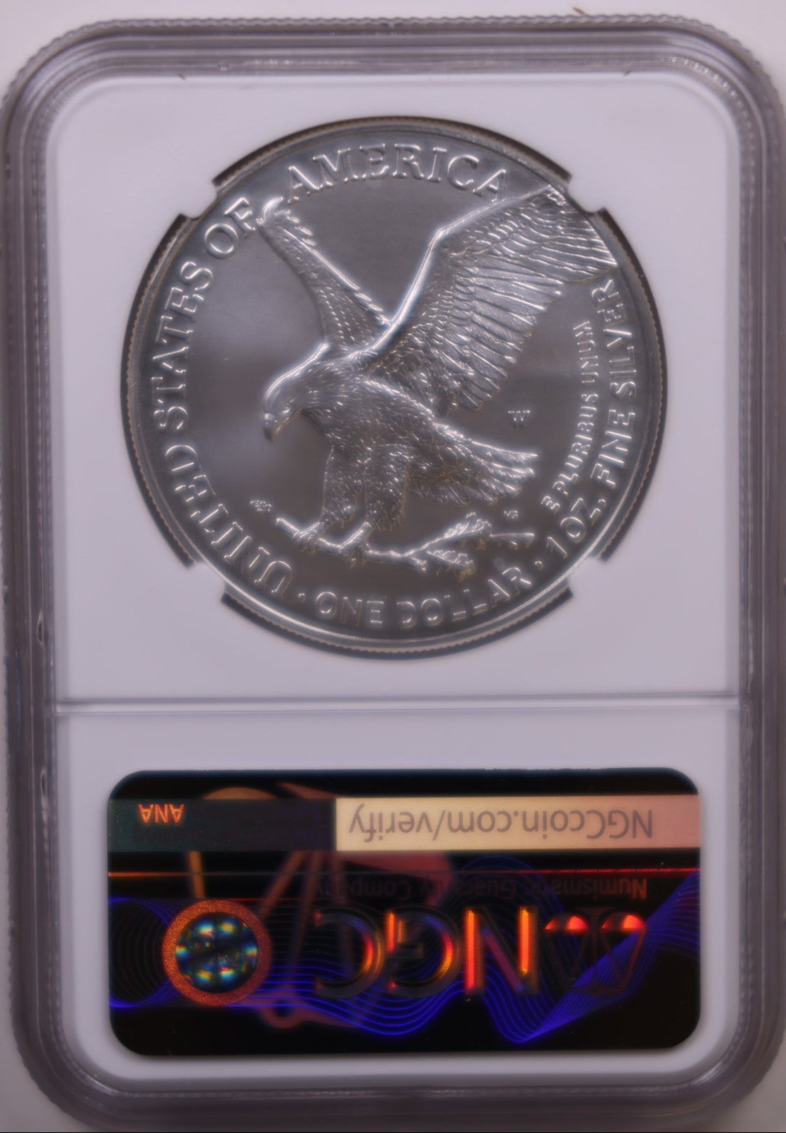 2024-W Burnished American Silver Eagle, NGC MS-70, Store#AE0427