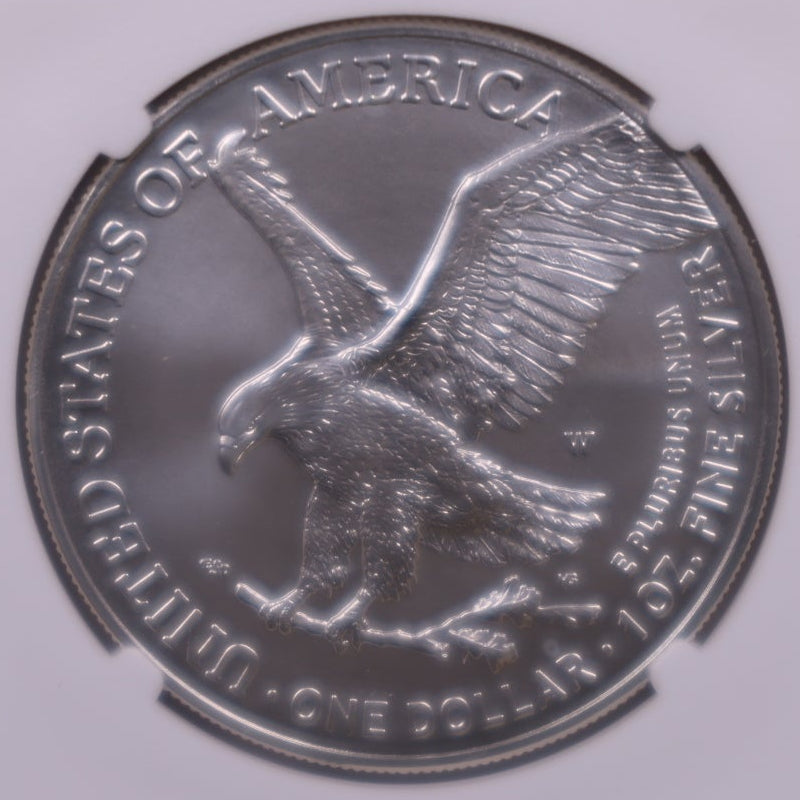 2024-W Burnished American Silver Eagle, NGC MS-70, Store#AE0427