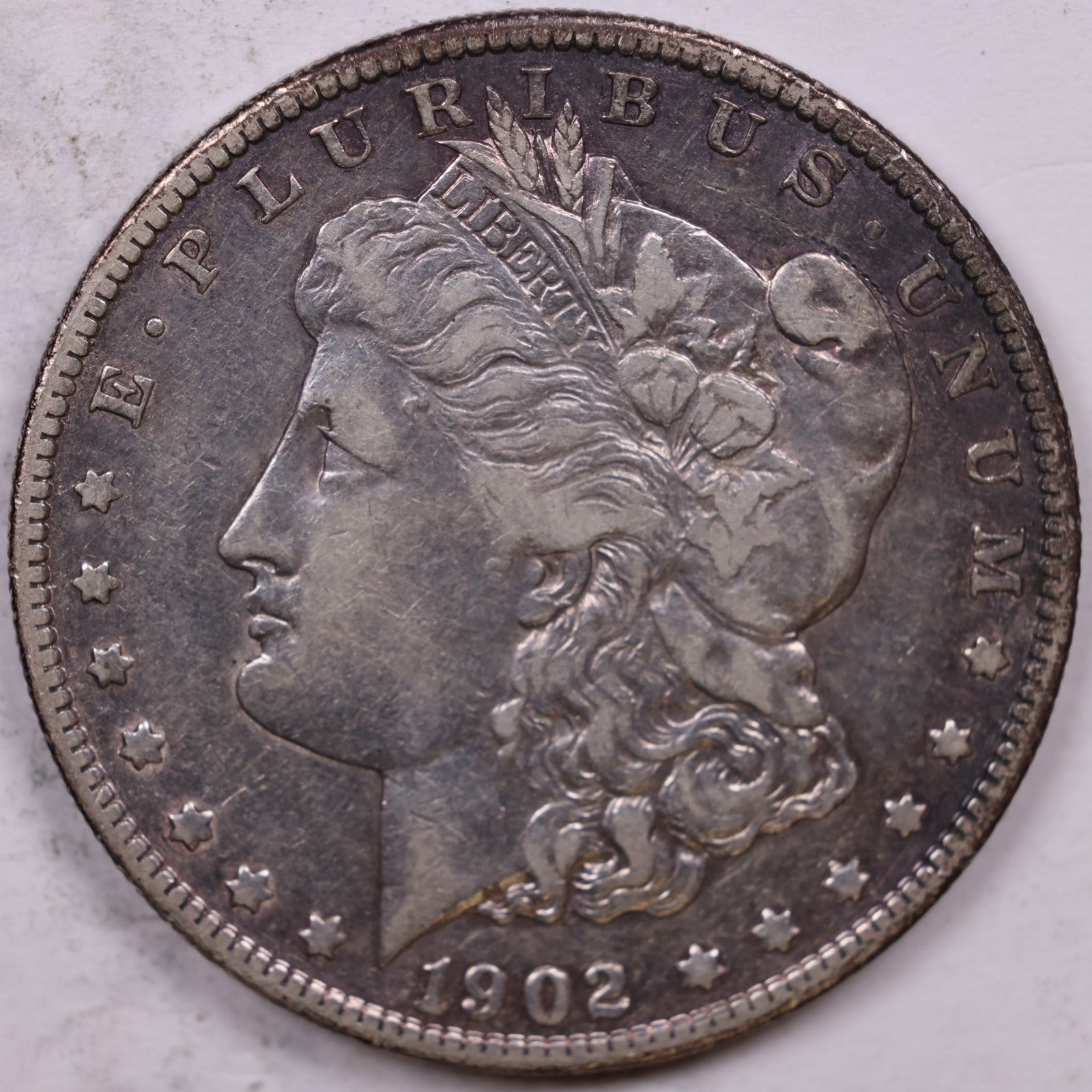 1895-S Morgan Dollar, Fine Circulated Coin, Store #DR1002