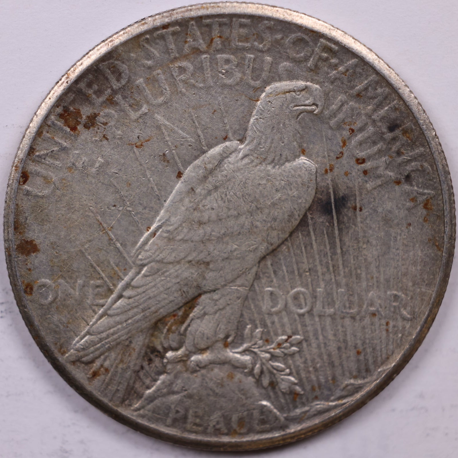 1927 Peace Dollar, Extra Fine Circulated, Store #DR1558