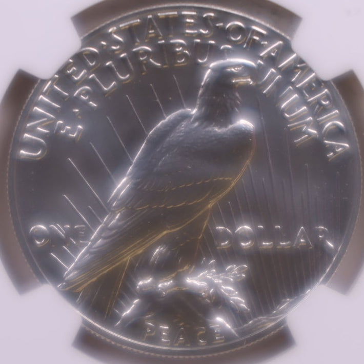 2021 Commemorative Peace Dollar, NGC MS-70 High Relief, Store #GMC383