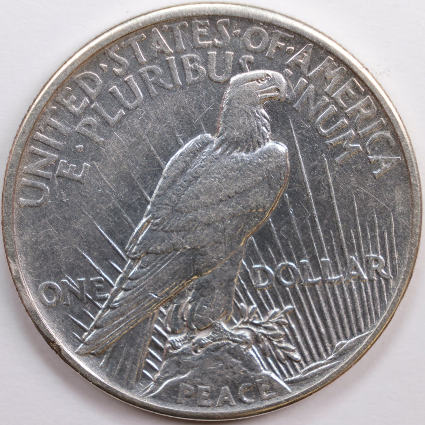 1921 Peace Dollar, Mint State Uncirculated Coin, Store #DR0738