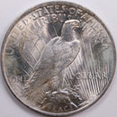 1923 Peace Dollar, Mint State Uncirculated Coin, Store