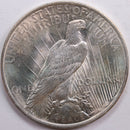 1923 Peace Dollar, Mint State Uncirculated Coin, Store