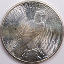 1922 Peace Dollar, Mint State Uncirculated Coin, Store