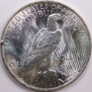 1923 Peace Dollar, Mint State Uncirculated Coin, Store
