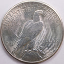 1925 Peace Dollar, Mint State Uncirculated Coin, Store
