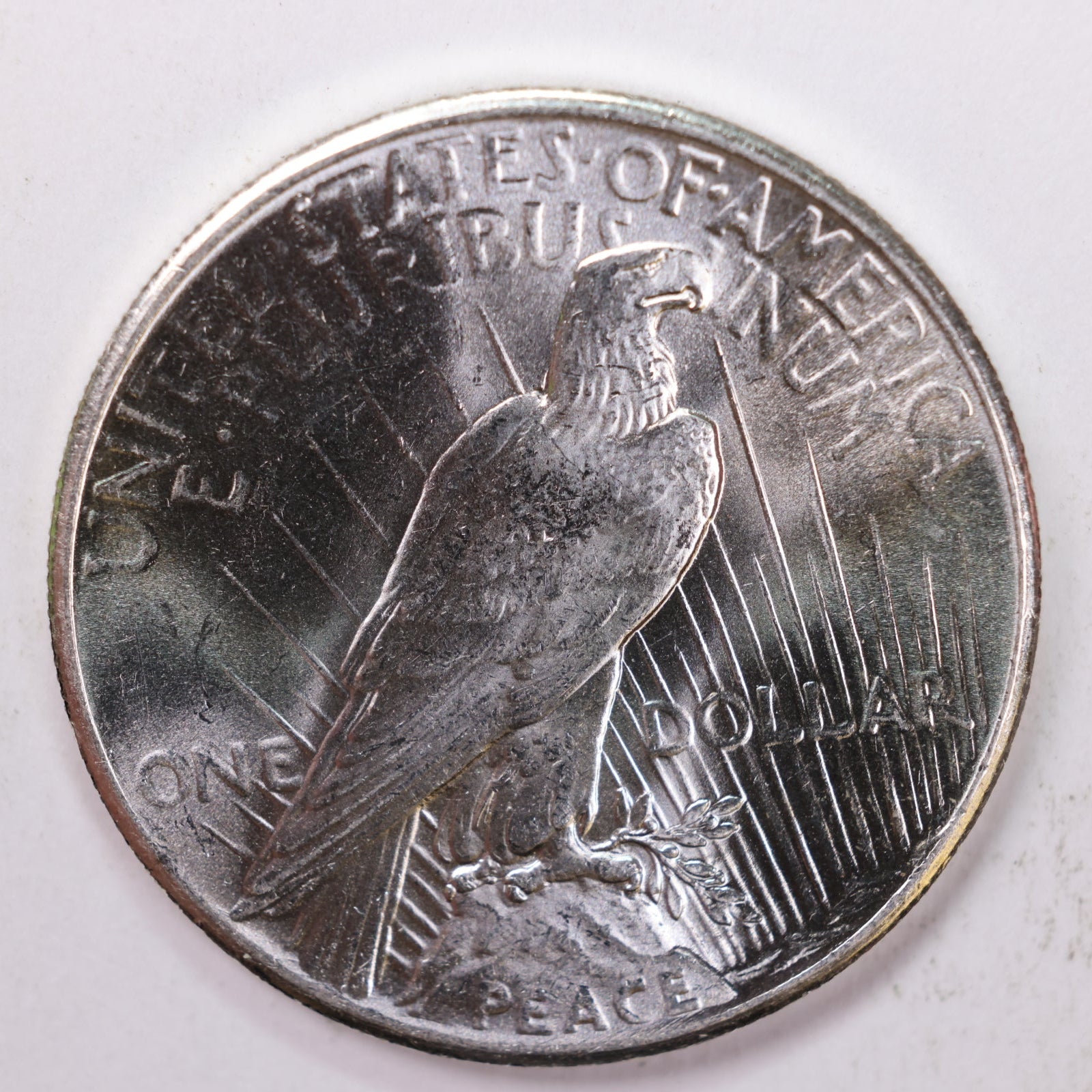 1925 Peace Dollar, Mint State Coin, Store #9016