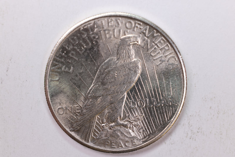 1925 Peace Silver Dollar., Gem Mint State Condition., Store Sale