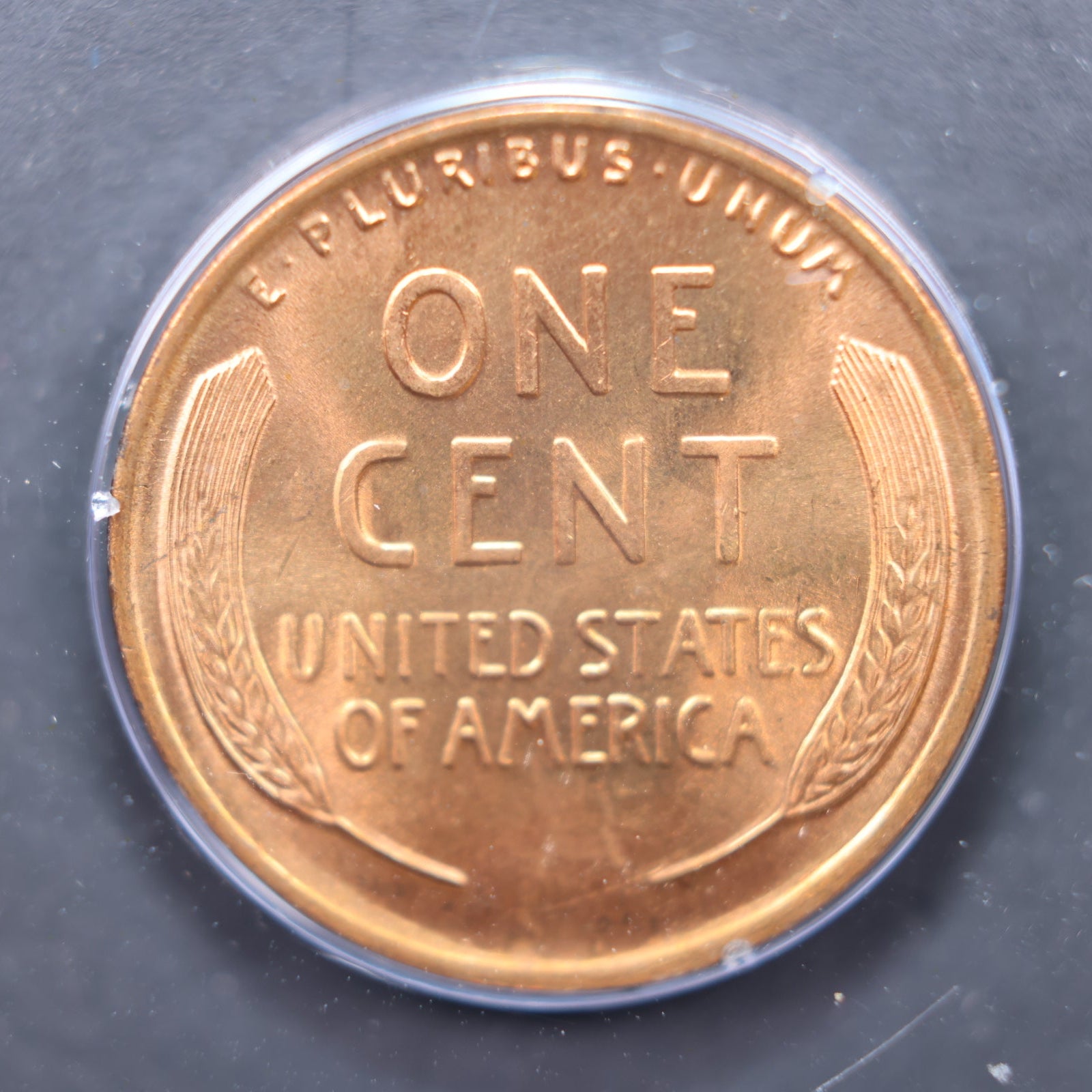 1919 Lincoln Wheat Cents, PCGS Shaker MS-65 Red, Store Sale #CT0002