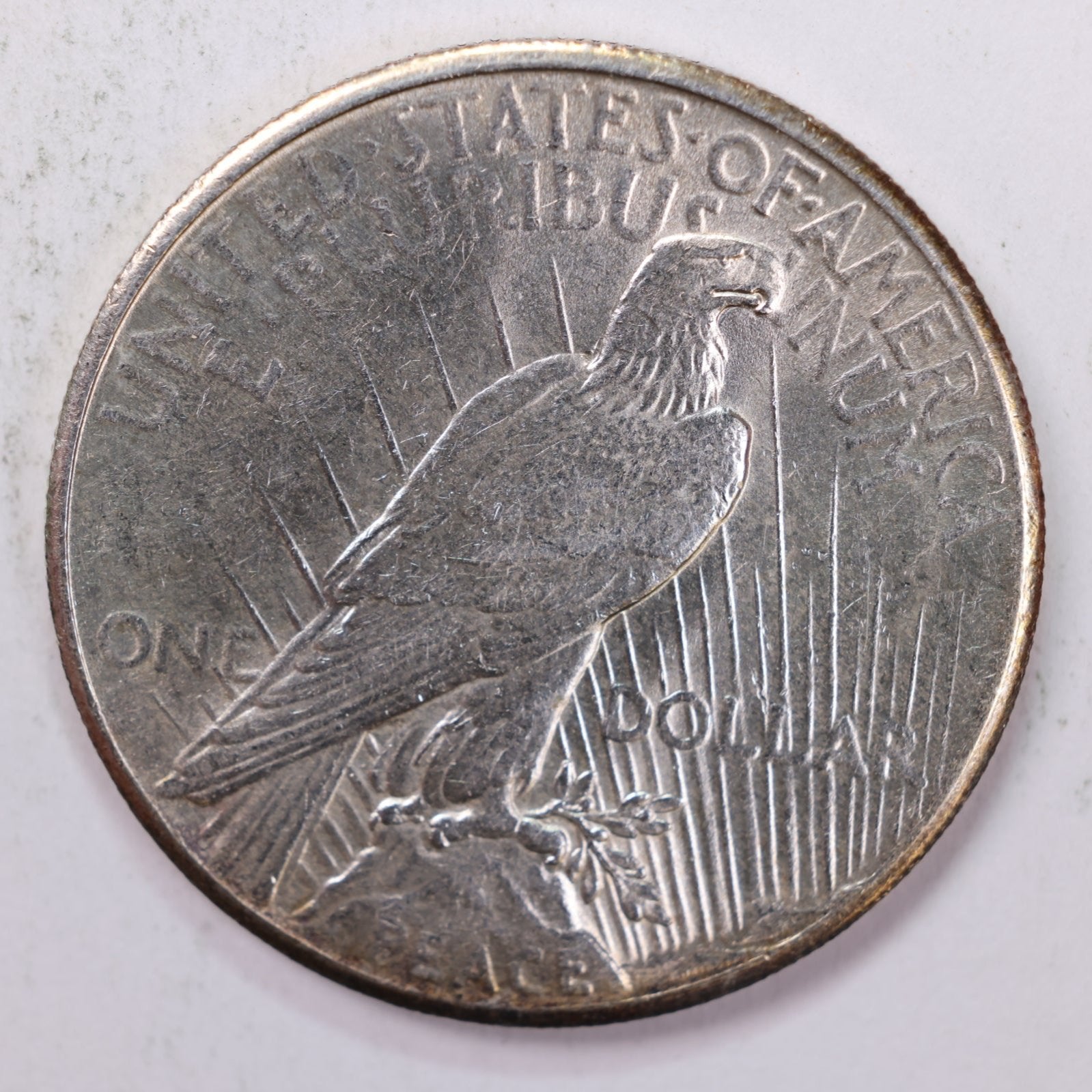 1926 Peace Silver Dollar., Mint State Condition., Store Sale #9021