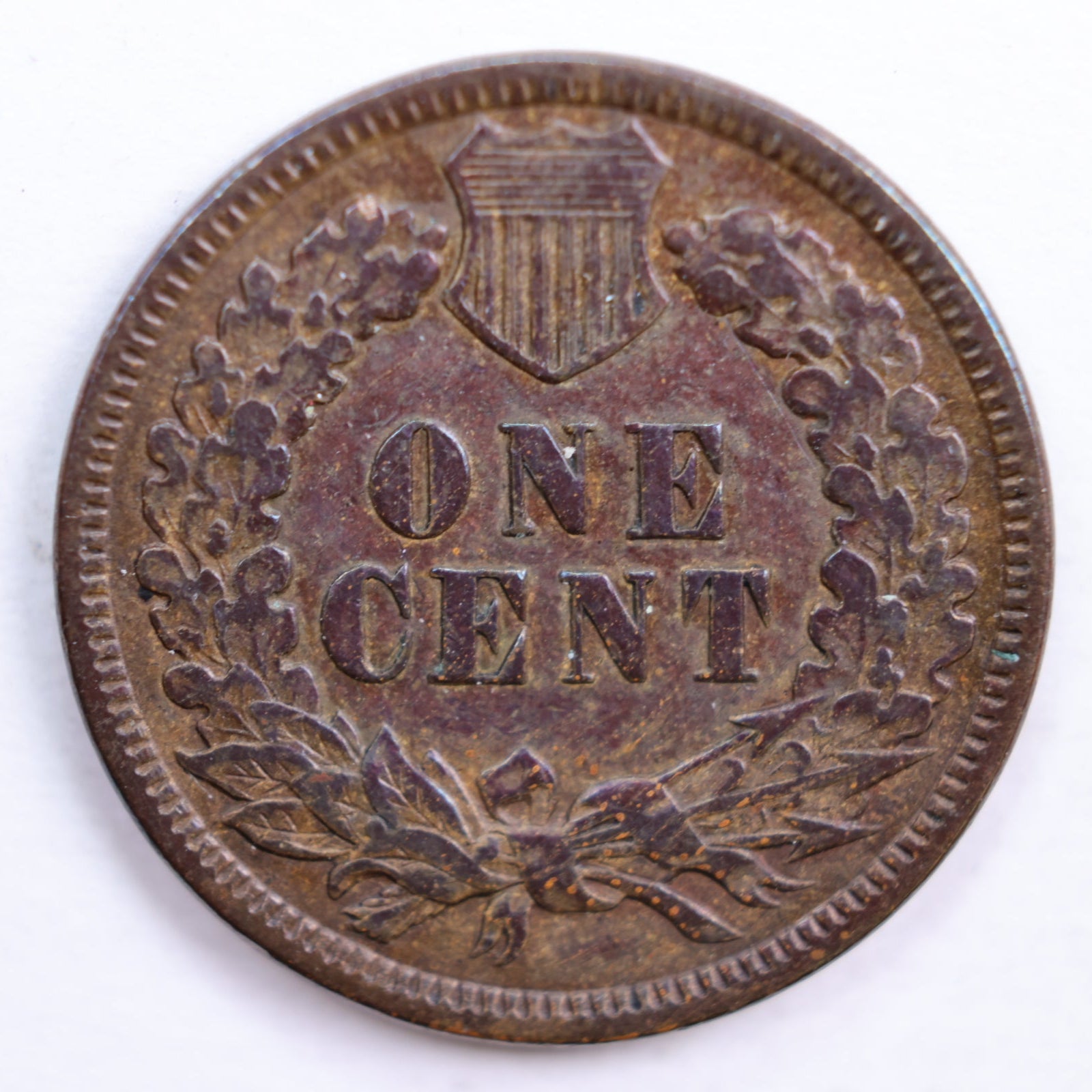 1894 Indian Head Cent, Extra Fine Circulated Coin, Store #CT0624