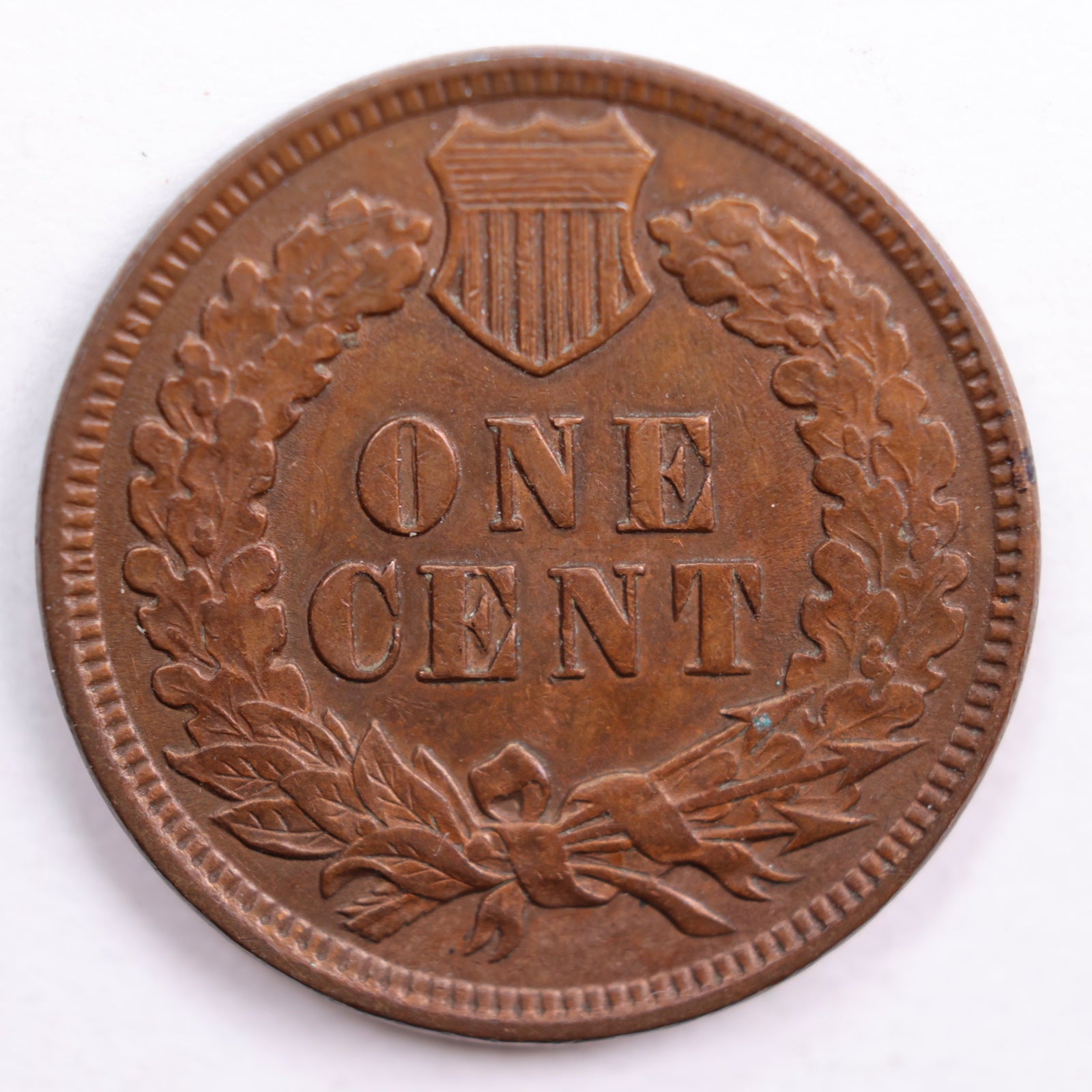 1901 Indian Head Cent, Abt Uncirculated Coin, Store #CT0634