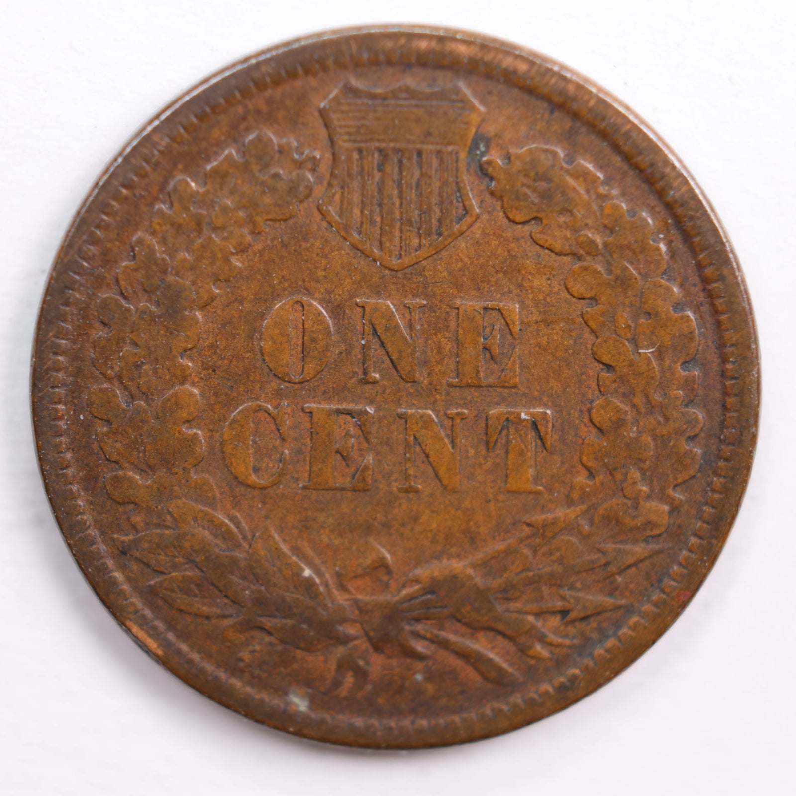 1881 Indian Head Cent, Fine Circulated Coin, Store #CT0656