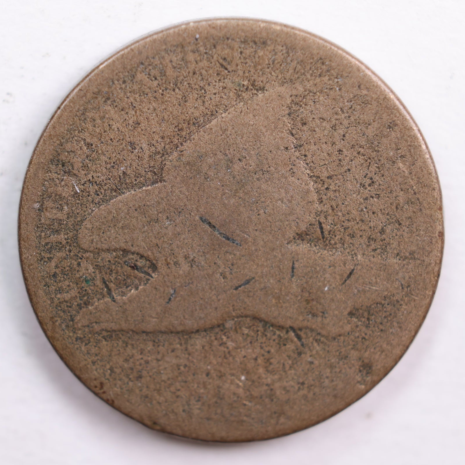 1858 Flying Eagle Small Cent, Fair Circulated Coin, Store #CT0657