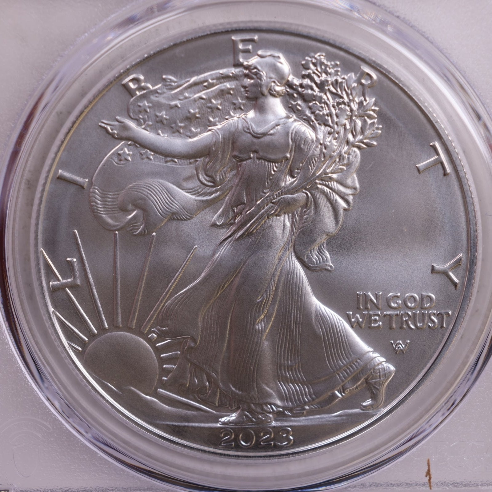 2023-W Burnished American Silver Eagle, PCGS SP-70, Store #9065