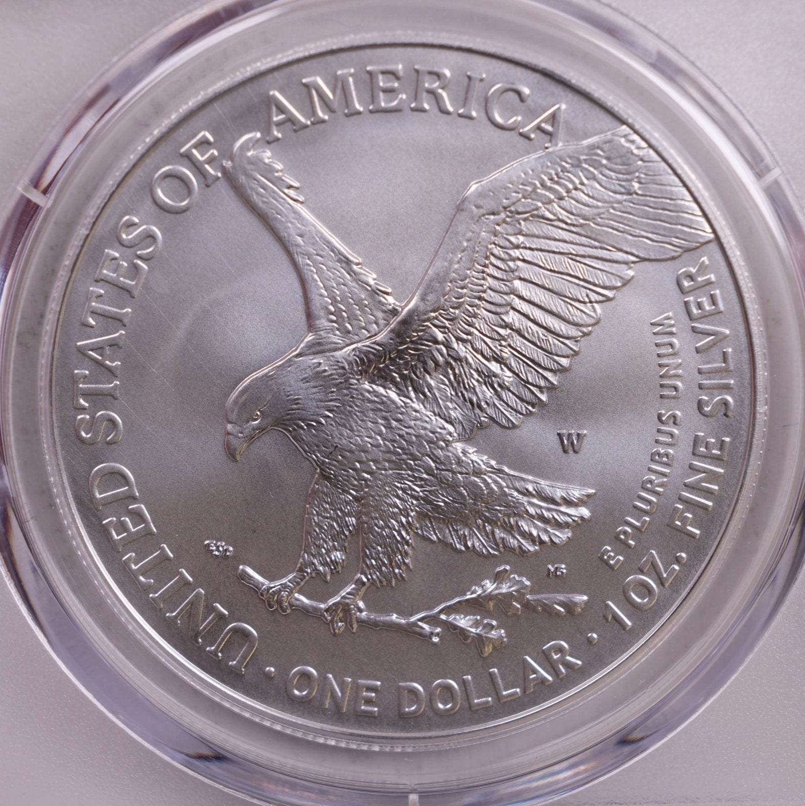 2023-W Burnished American Silver Eagle, PCGS SP-70, Store #9065