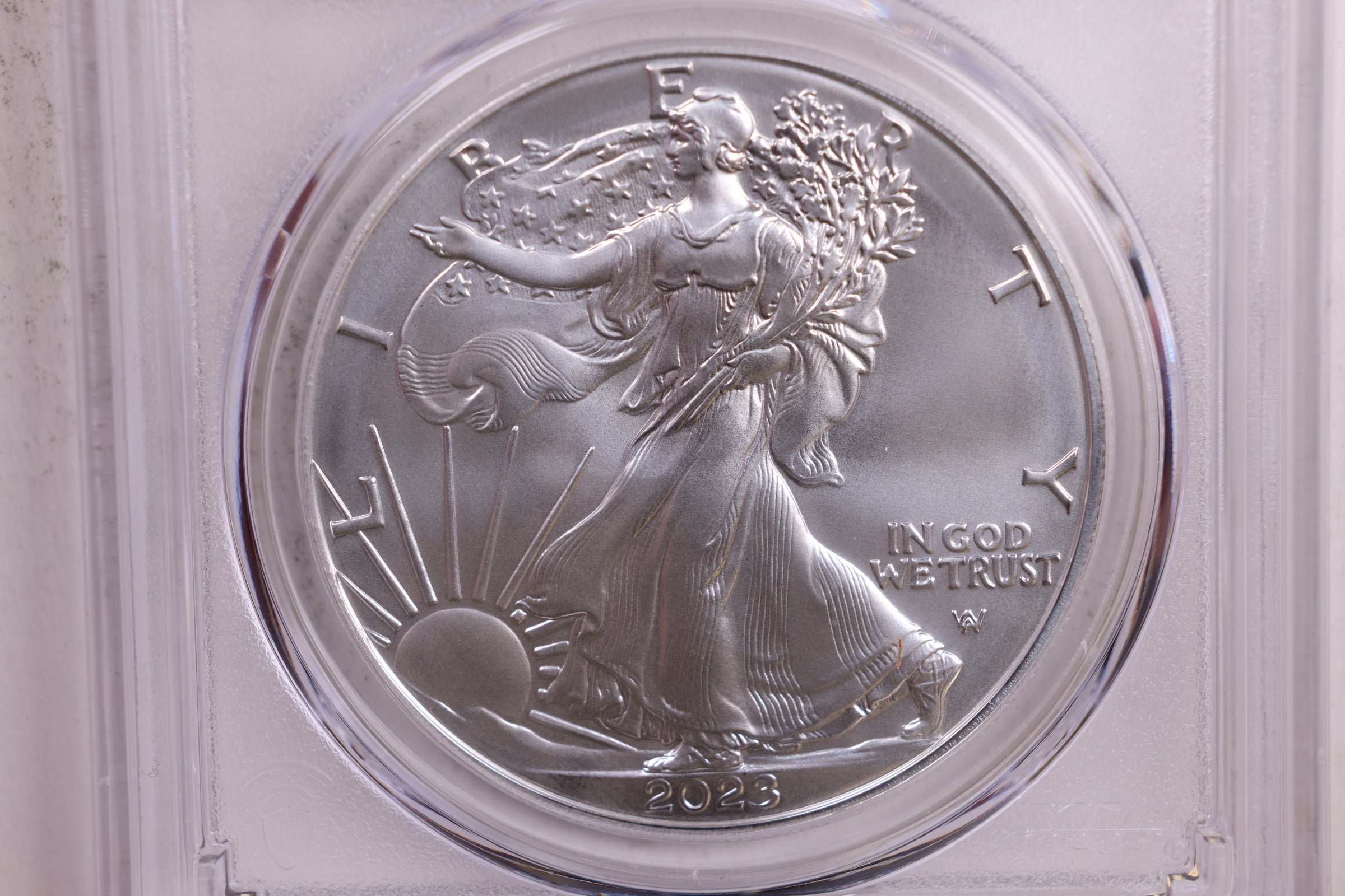 2023-W Burnished American Silver Eagle, PCGS SP-70, Store #9065