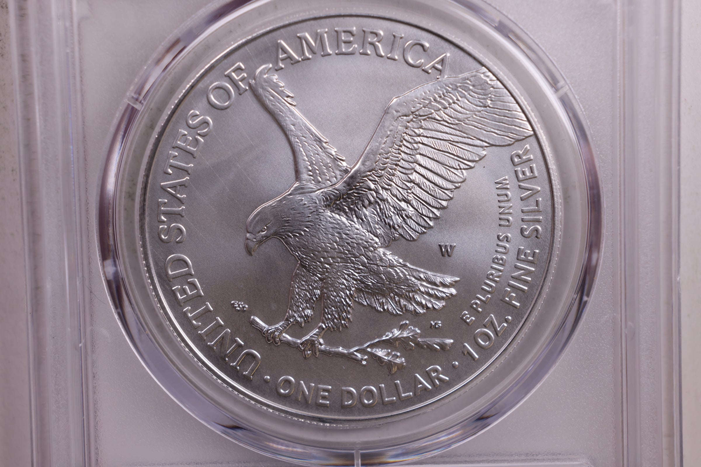 2023-W Burnished American Silver Eagle, PCGS SP-70, Store #9065