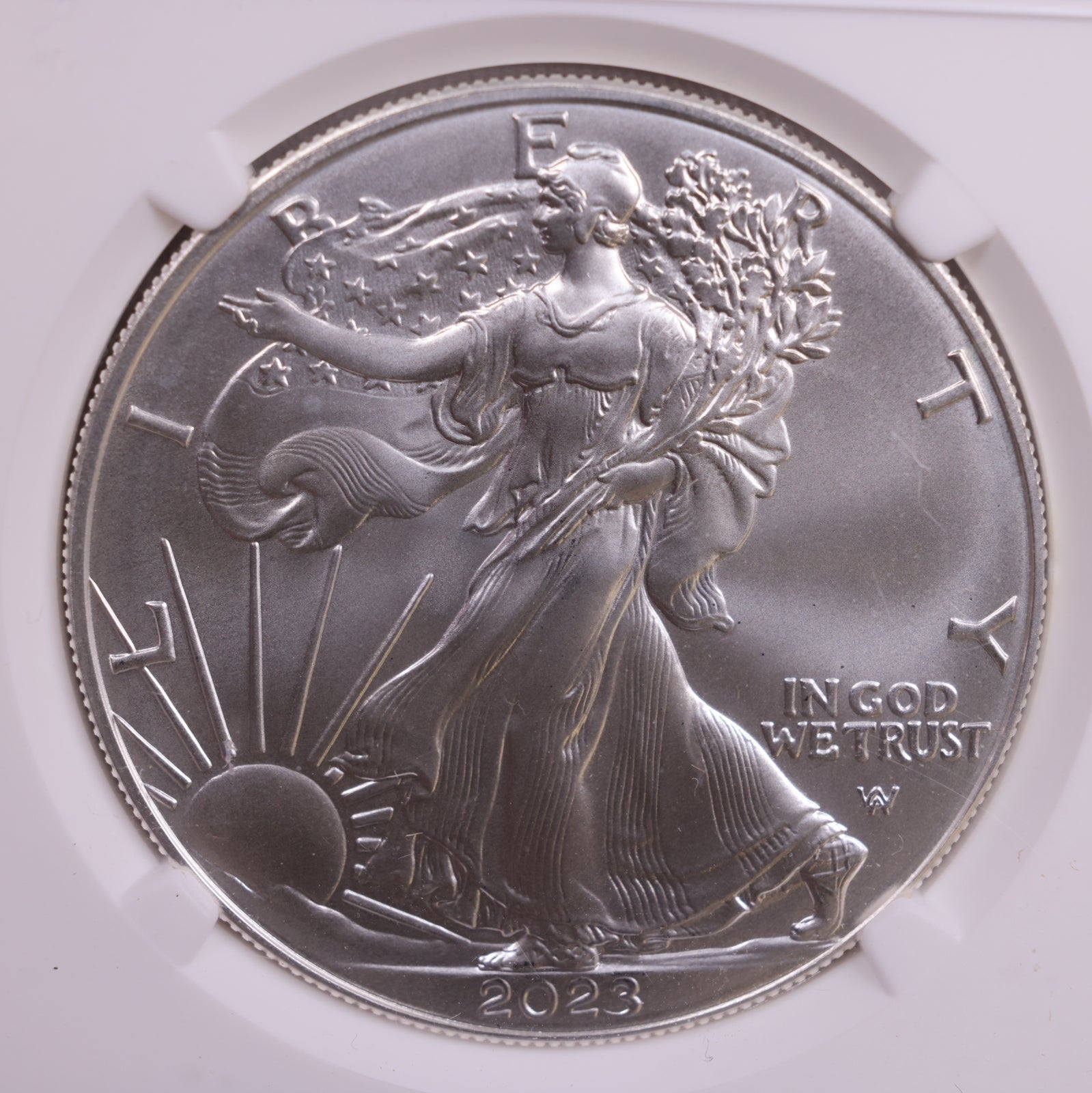 2023 American Silver Eagle, NGC Certified MS-70, Store #9067