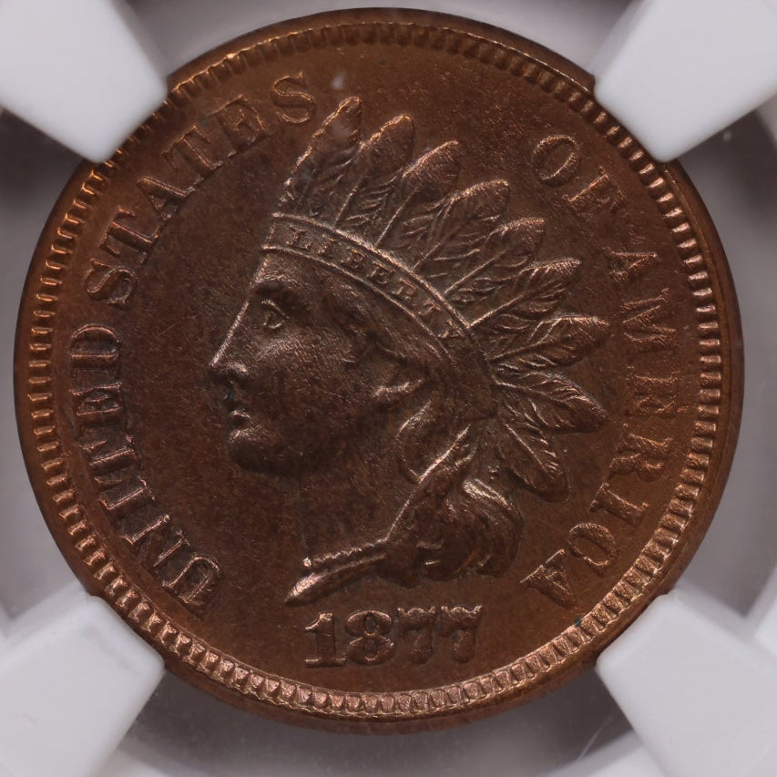 1877 Indian Head Cent, NGC UNC Details, Cleaned, Store #CT1478