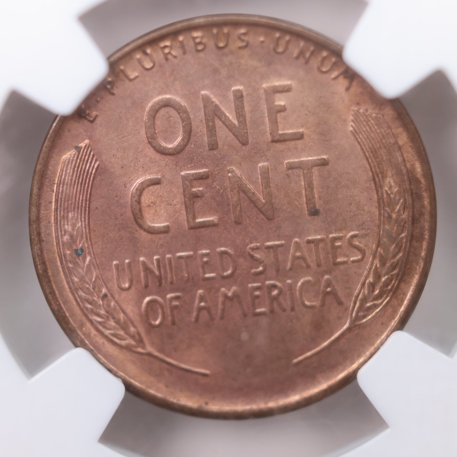 1931-S Lincoln Wheat Cents, NGC MS-63, Red/Brown, Store #CT1571.